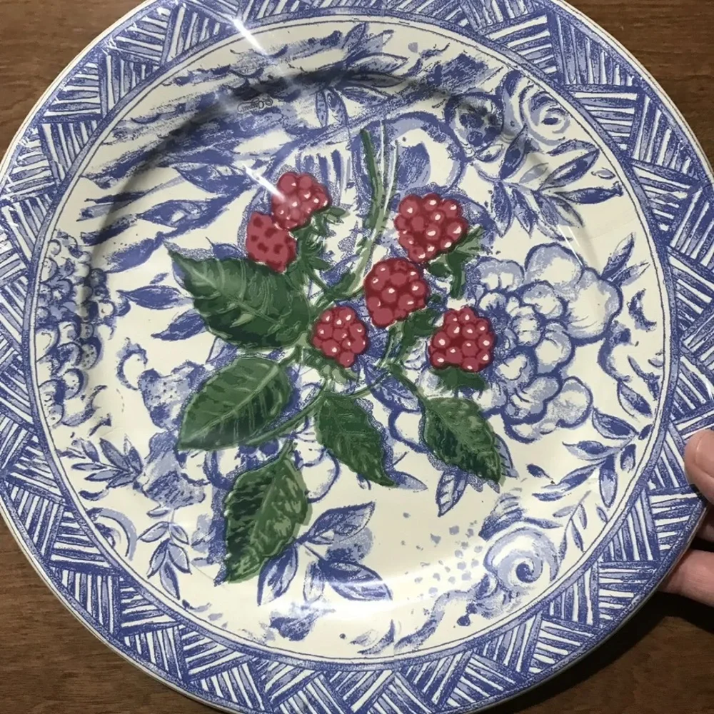 Isabelle De Borchgrave Caspari 8 DINNER Paper Plates Buffet Weight Framboise Lot